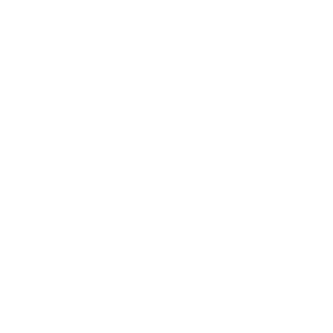 Held IT